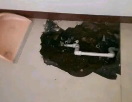 镇平卫生间测漏水多少钱